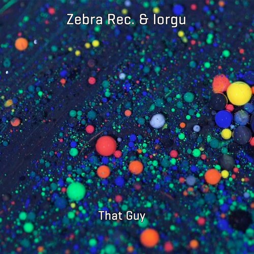 Zebra Rec., Iorgu - That Guy [1237795]